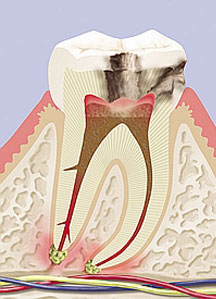 Dentys - Clínica de Medicina Dentária em Aveiro